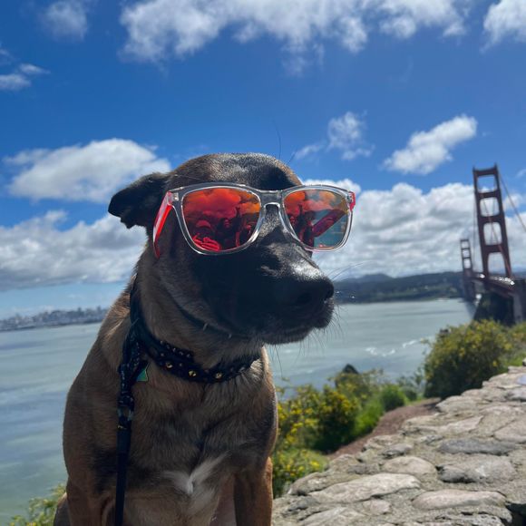 Meet your Posher, Becky - Picture 1 of 1